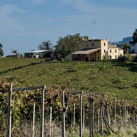 Masseria Del Vino Лорето-Апрутино Экстерьер фото