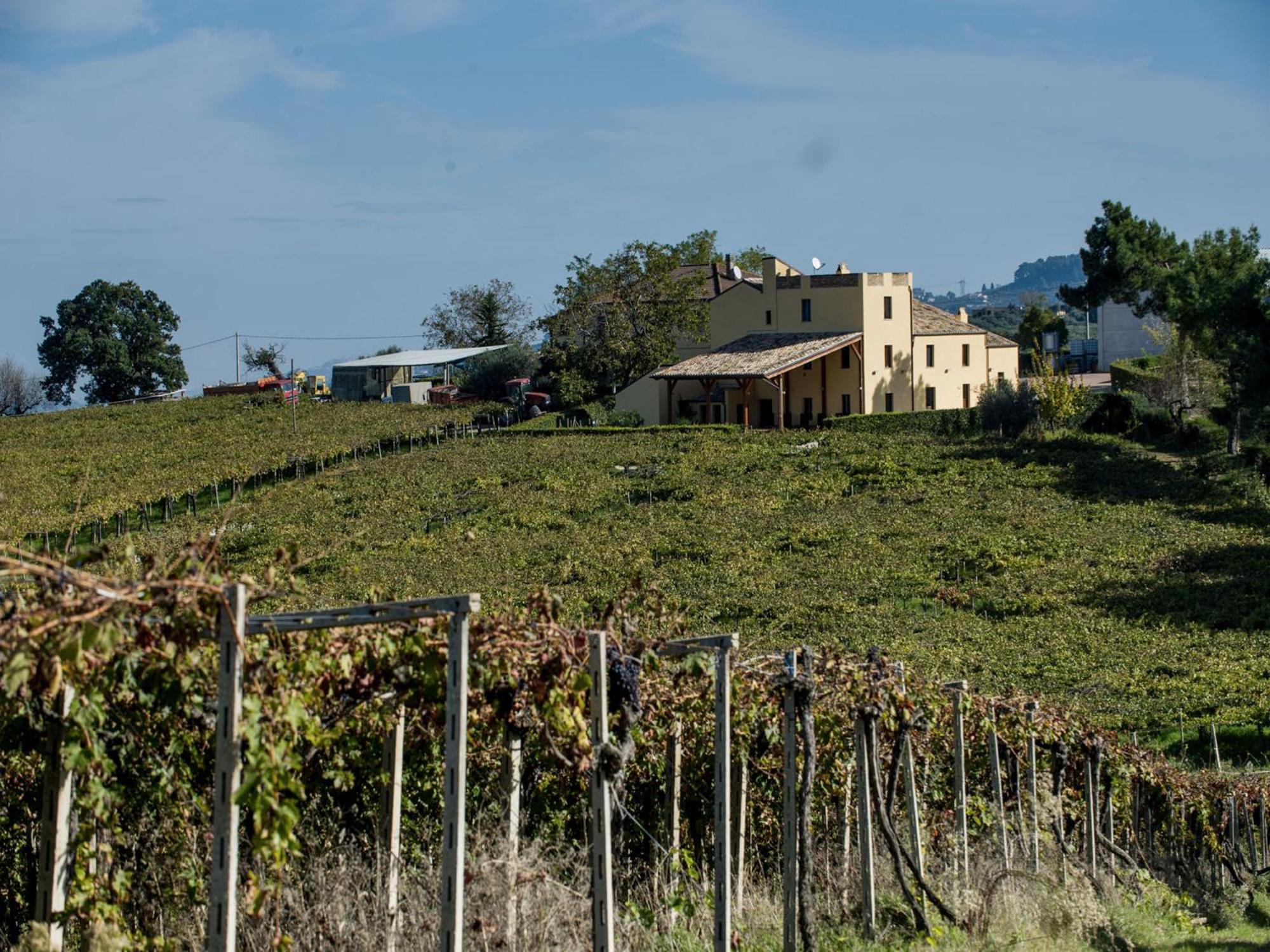 Masseria Del Vino Лорето-Апрутино Экстерьер фото