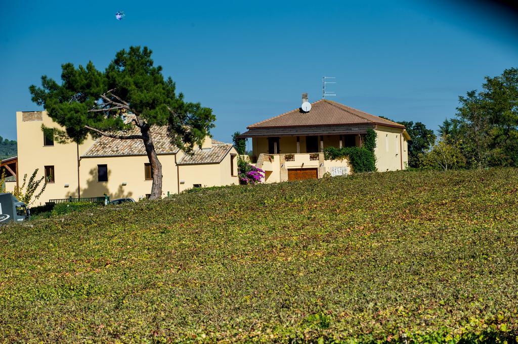 Masseria Del Vino Лорето-Апрутино Экстерьер фото