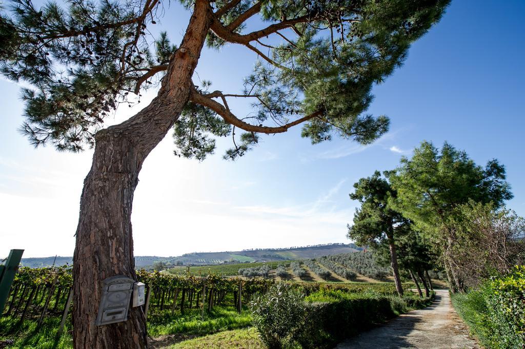 Masseria Del Vino Лорето-Апрутино Экстерьер фото