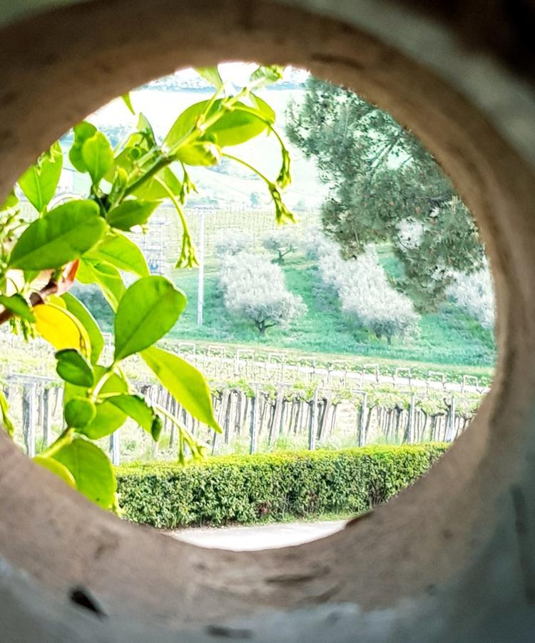 Masseria Del Vino Лорето-Апрутино Экстерьер фото