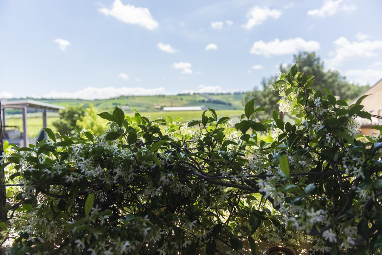 Masseria Del Vino Лорето-Апрутино Экстерьер фото