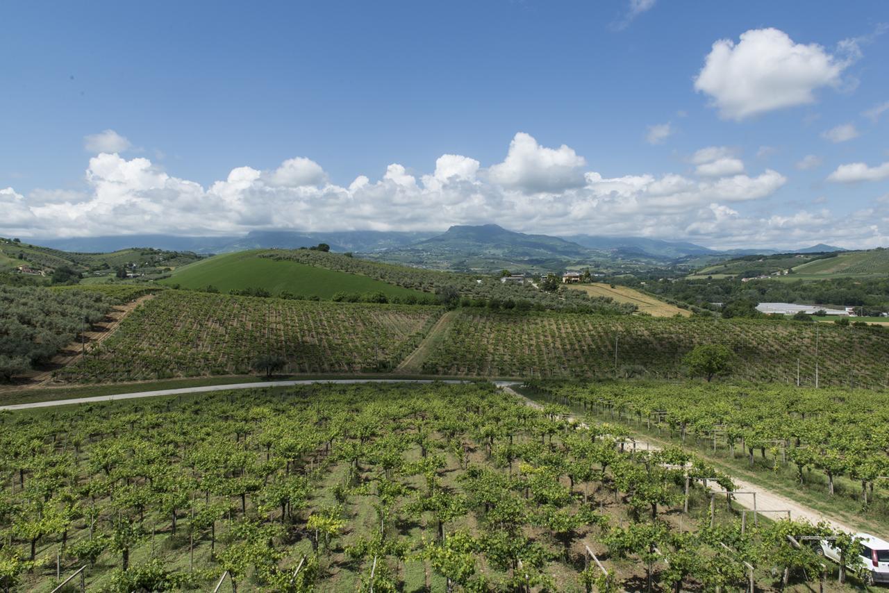 Masseria Del Vino Лорето-Апрутино Экстерьер фото